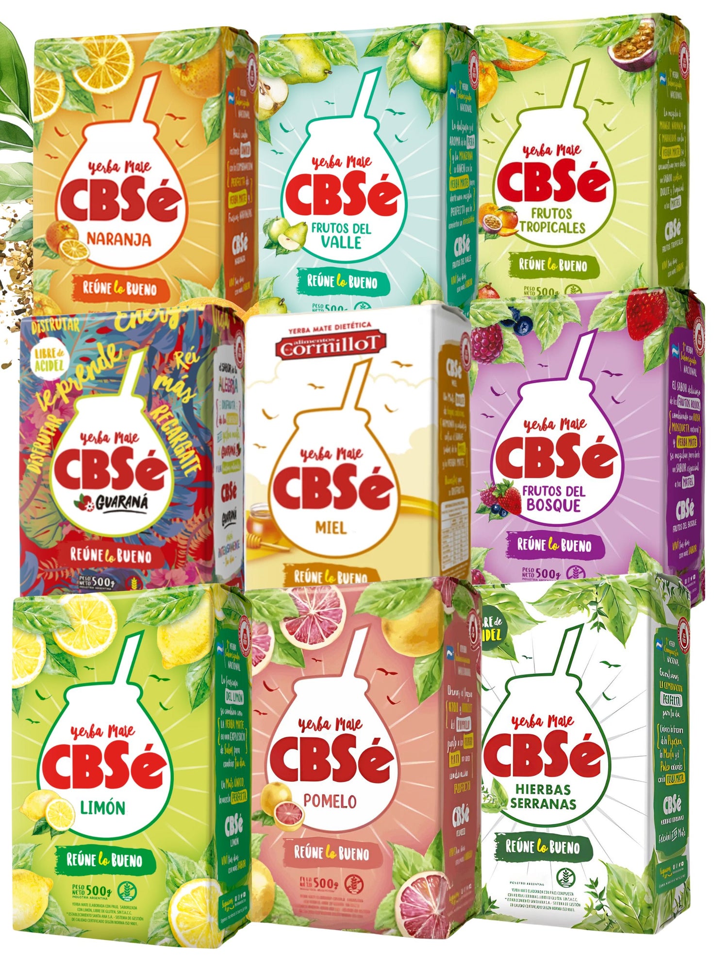 CBSé Bundel